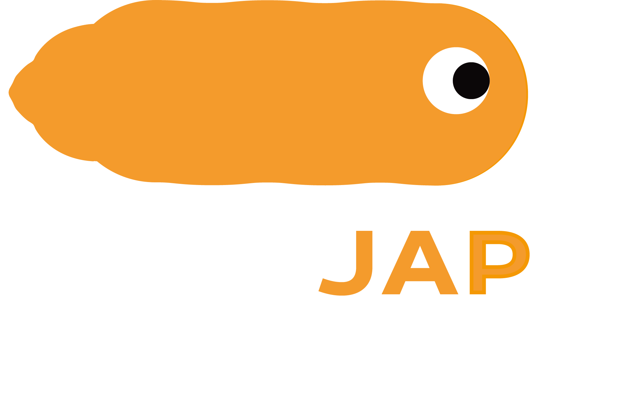 JAPJAP Zero Waste Limited